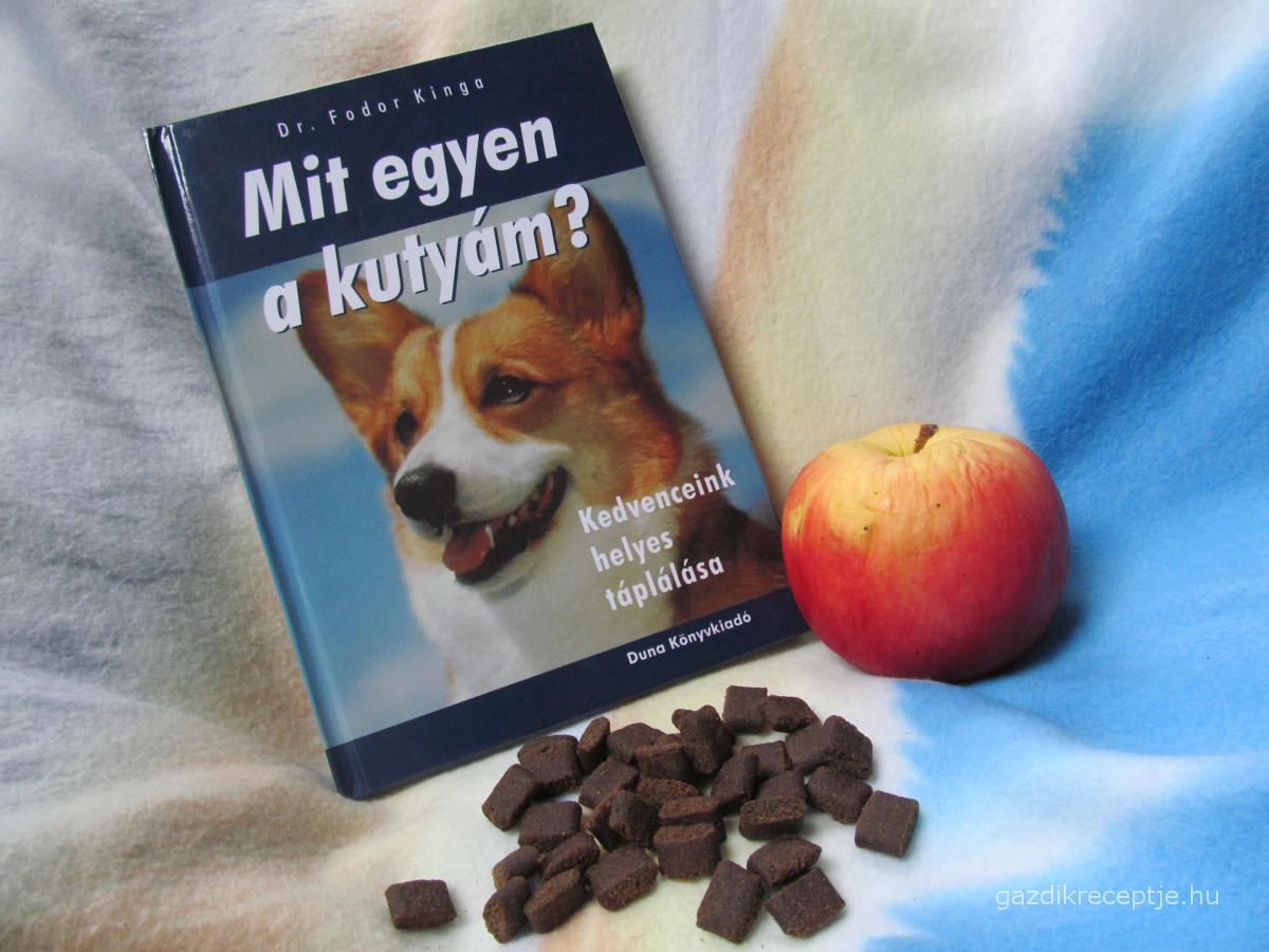 Mit egyen a kutyám? könyv